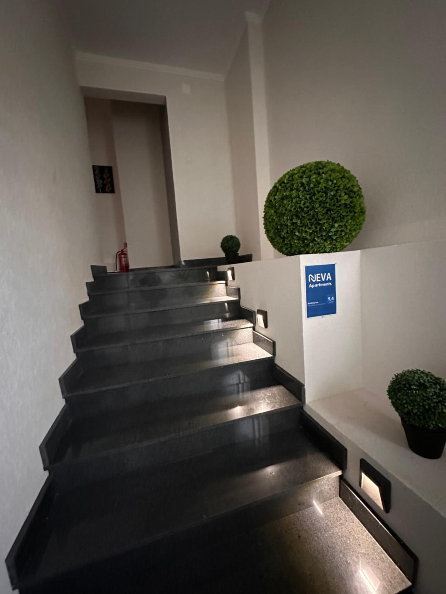 Neva Apartments Făgăraş Zewnętrze zdjęcie